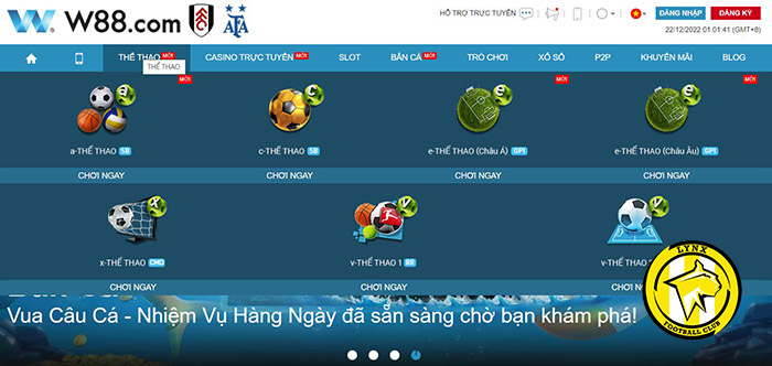 Đặt cược thể thao tại W88 - Đỉnh cao của sự hứng thú