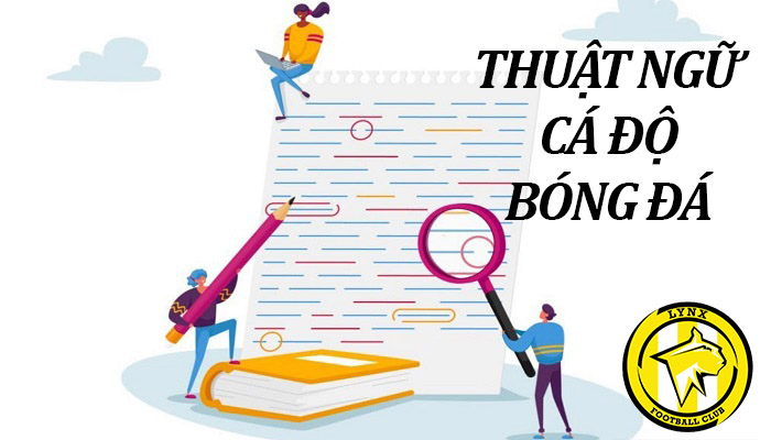 Ý nghĩa của thuật ngữ cá độ bóng đá trong lĩnh vực thể thao