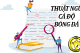 Học thuật ngữ cá độ bóng đá để thành công trong năm 2023